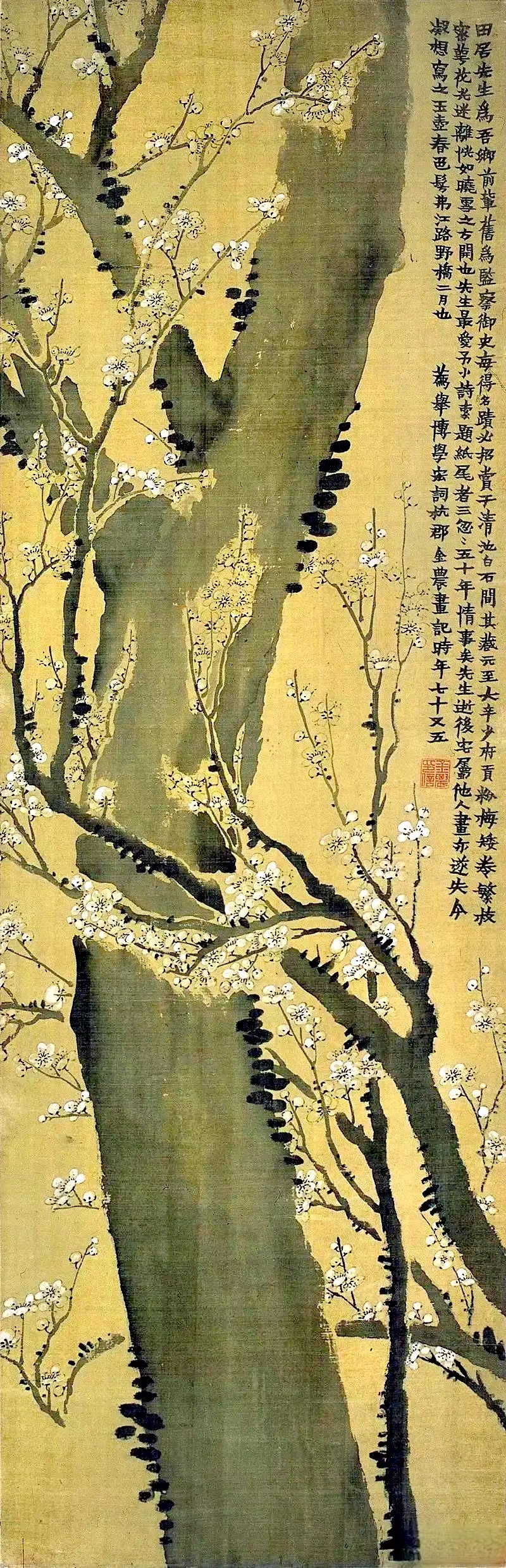 清 金農 玉壺春色圖